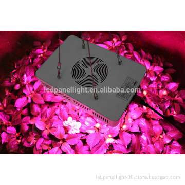 300W LED Grow Light - High Yield - Full Spectrum Indoor Hydroponic Plants Veg Bloom